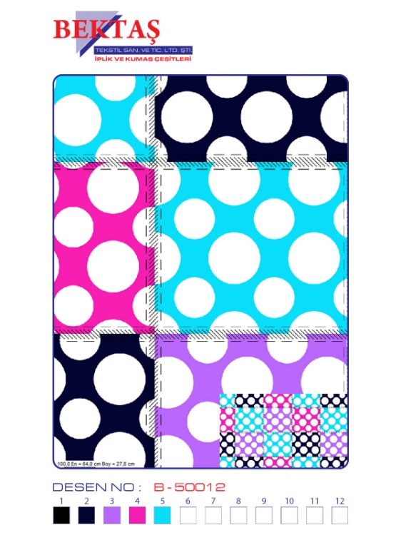 B-50012 resmi