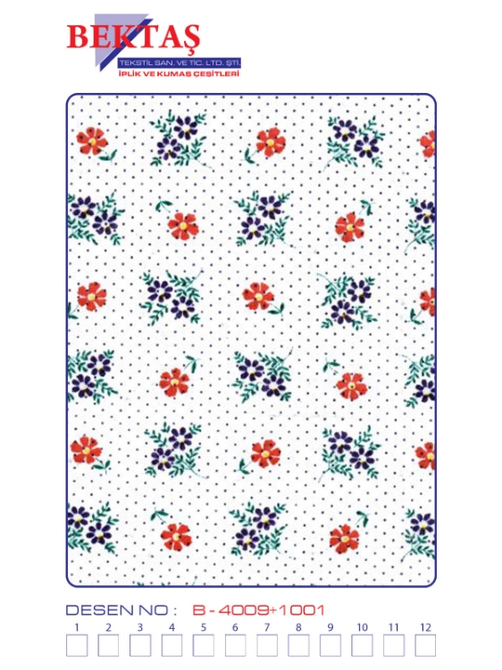 Picture of B-4009 - 1001