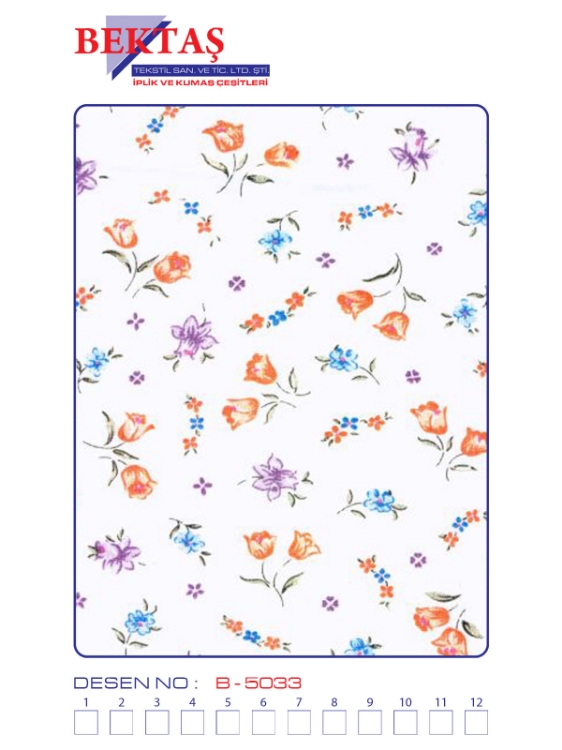 B-5033 resmi