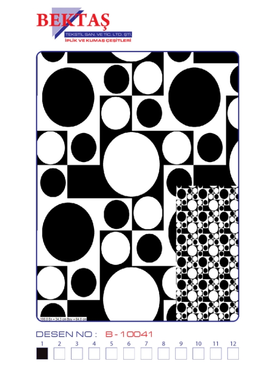 B-10041 resmi
