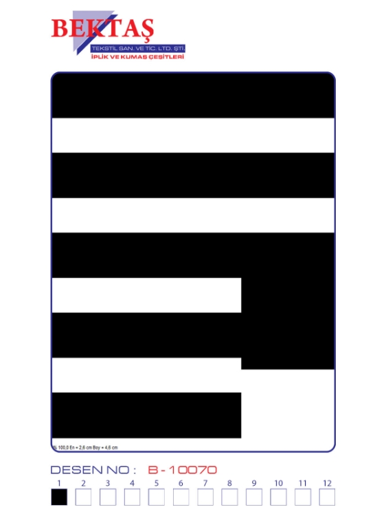 B-10070 resmi