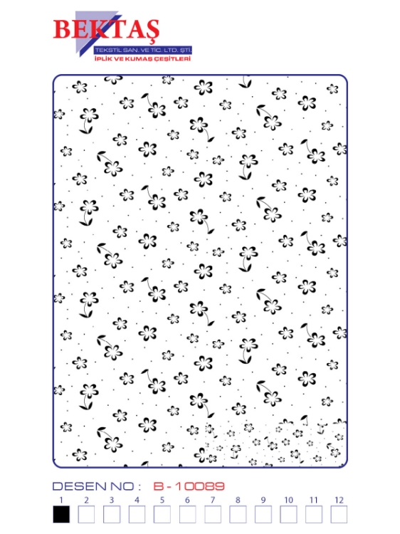 B-10089 resmi