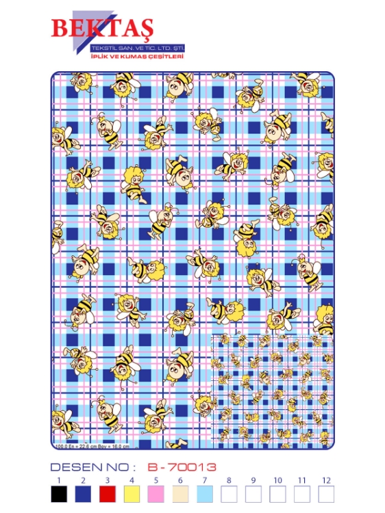 B-70013 resmi