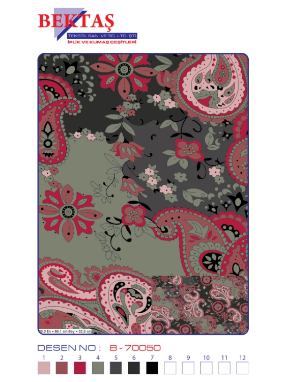 B-70050 resmi