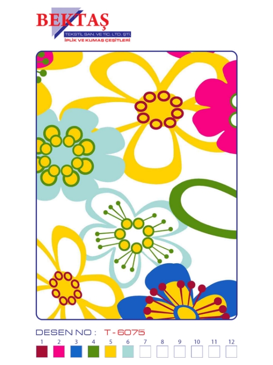 T-6075 resmi